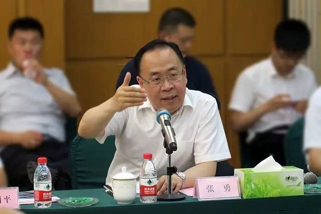 天津滨海新区区长张勇一行考察天海星